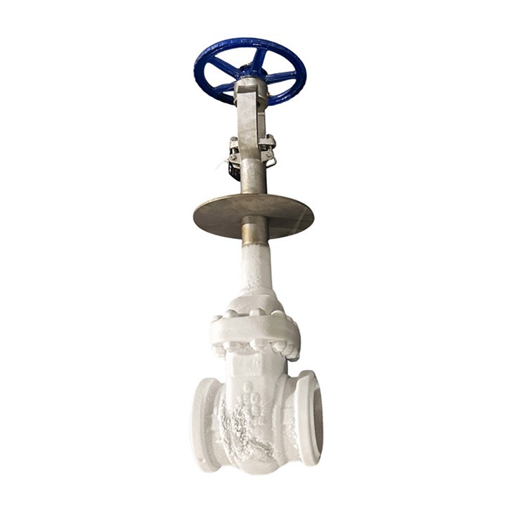 Cryogenic Gate Valve